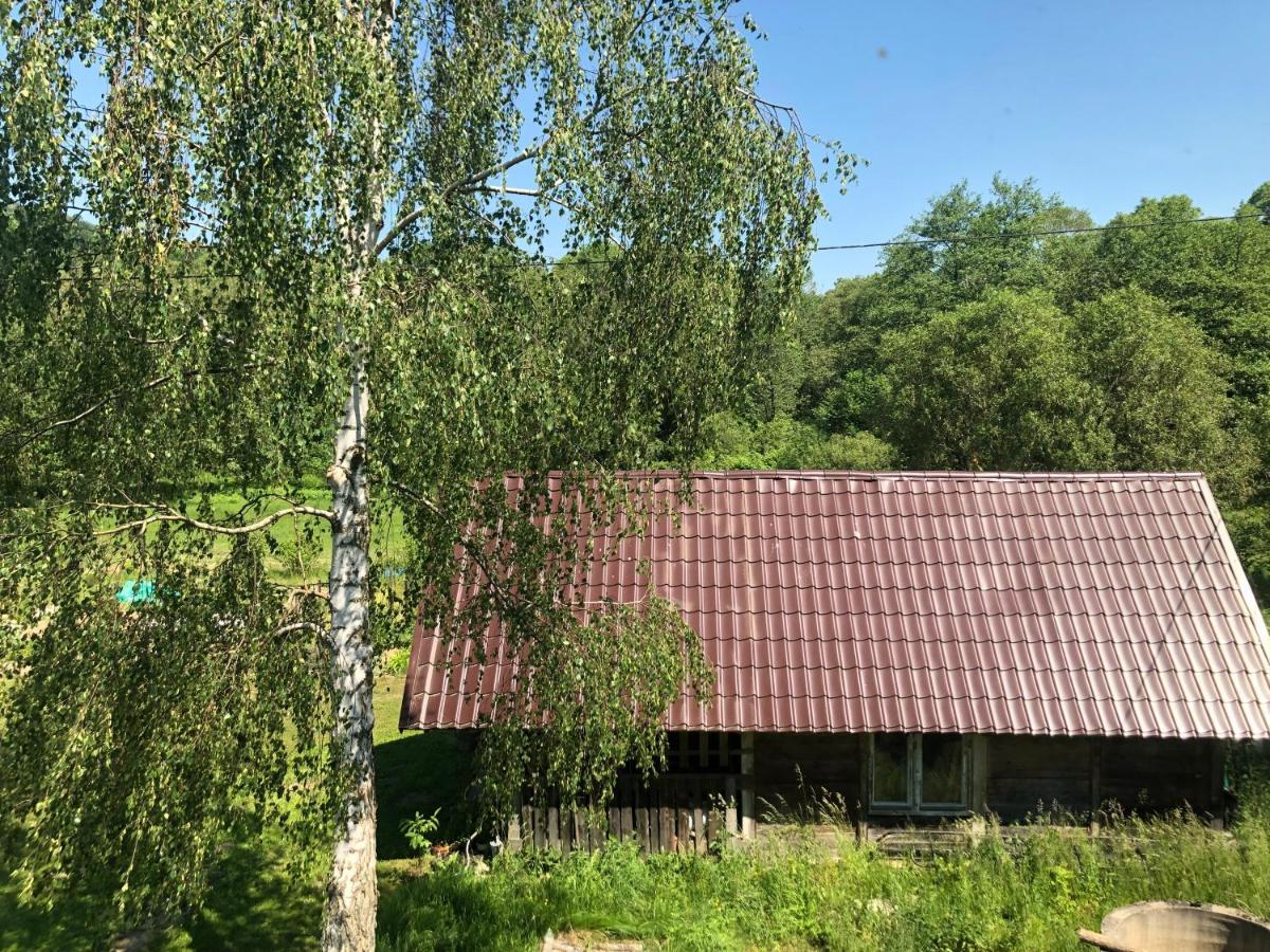 Zielonapogoda Lądek-Zdrój エクステリア 写真