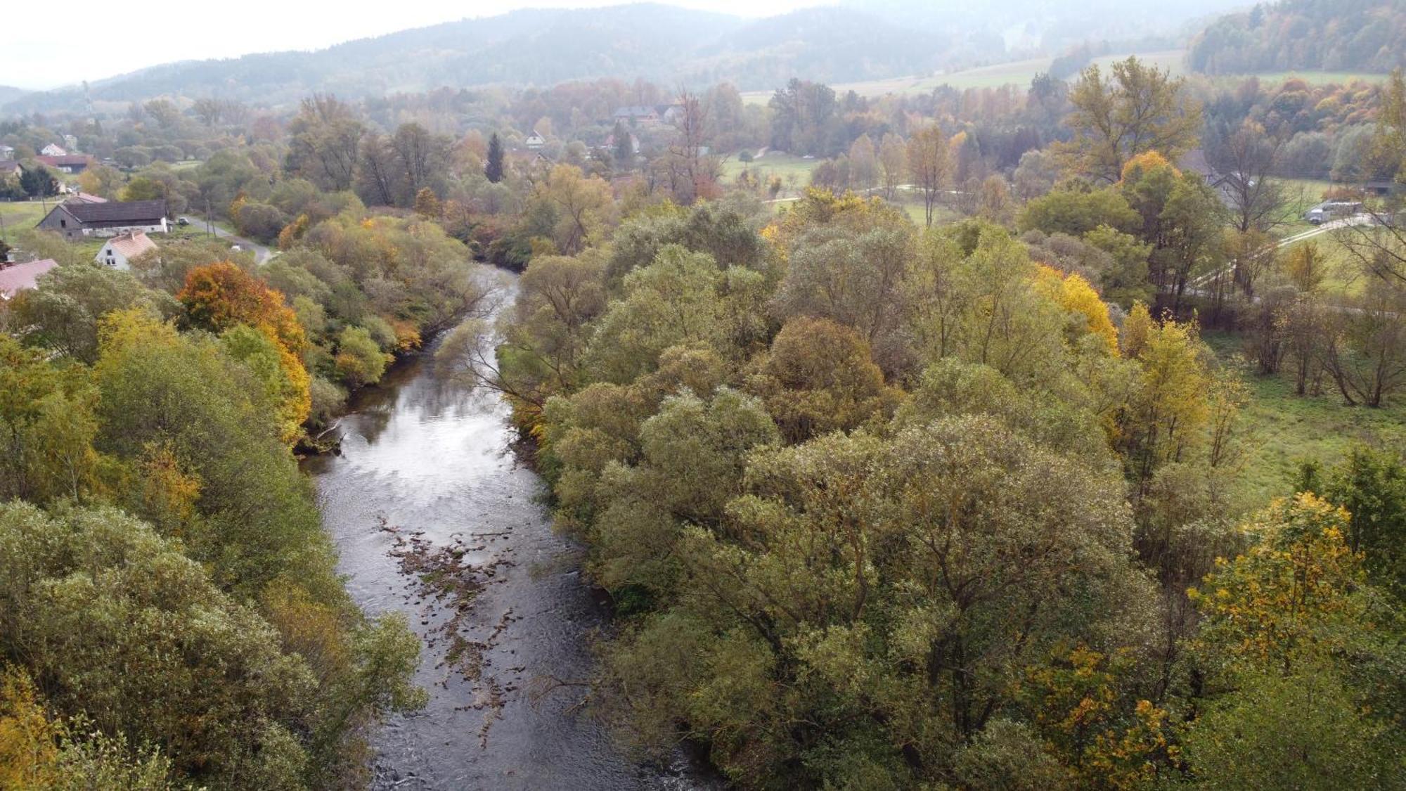 Zielonapogoda Lądek-Zdrój エクステリア 写真